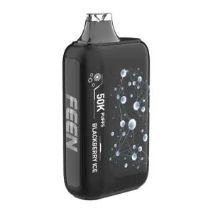 Black Berry Ice FEEN Vape 50K 20mg