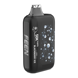 Blackberry Ice FEEN Vape 50K