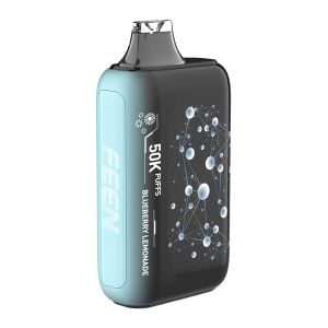 Blueberry Lemonade FEEN Vape 50K