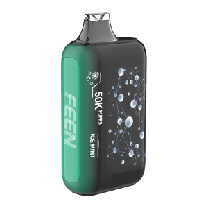 Ice Mint FEEN Vape 50K